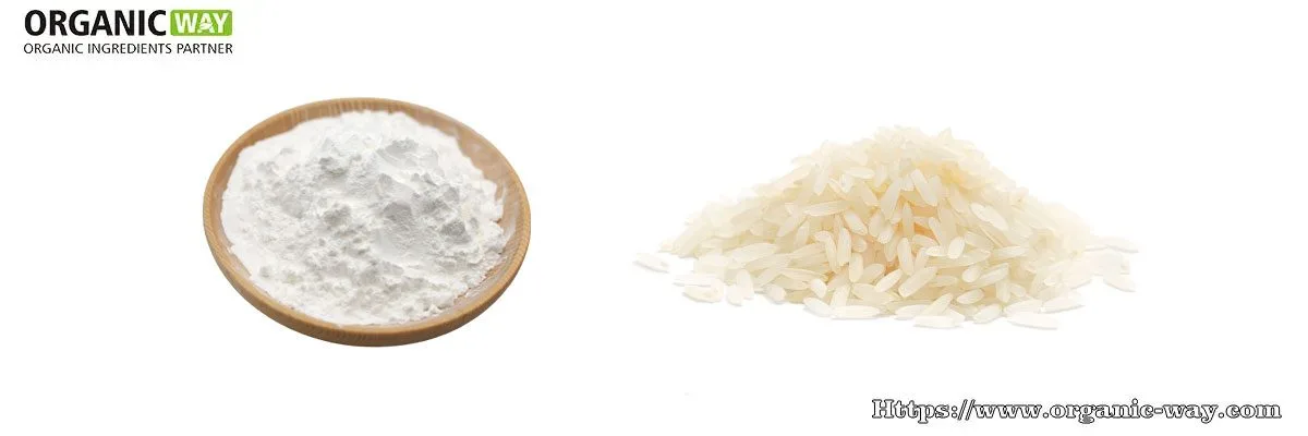 Organic Rice Starch Organic Rice Starch
