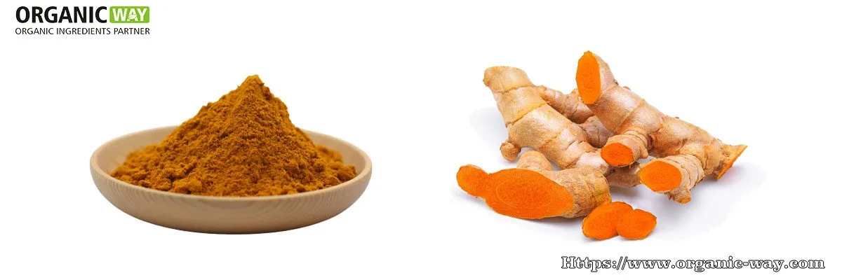 Organic Turmeric Extract Powder Organic Turmeric Extract