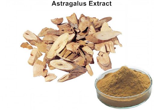 astragalus extract powder