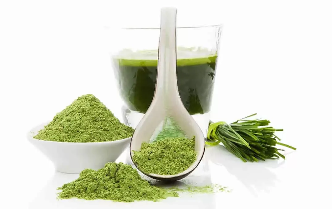 What is the effect of taking barley grass powder?