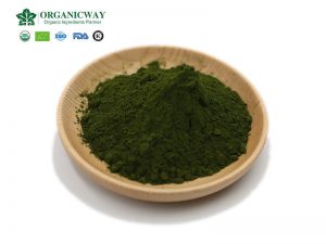 11 unbekannte Geheimnisse von Chlorella - die Wirksamkeit und Funktion von Chlorella-Tabletten
