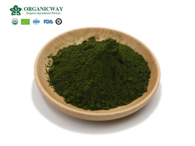 chlorella powder