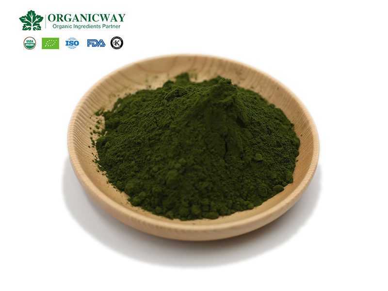 Chlorella Powder