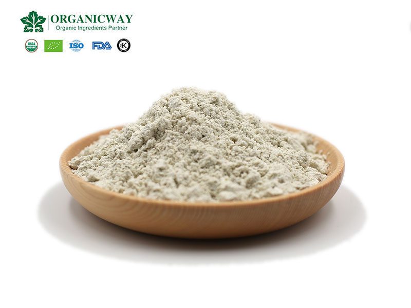 hemp protein