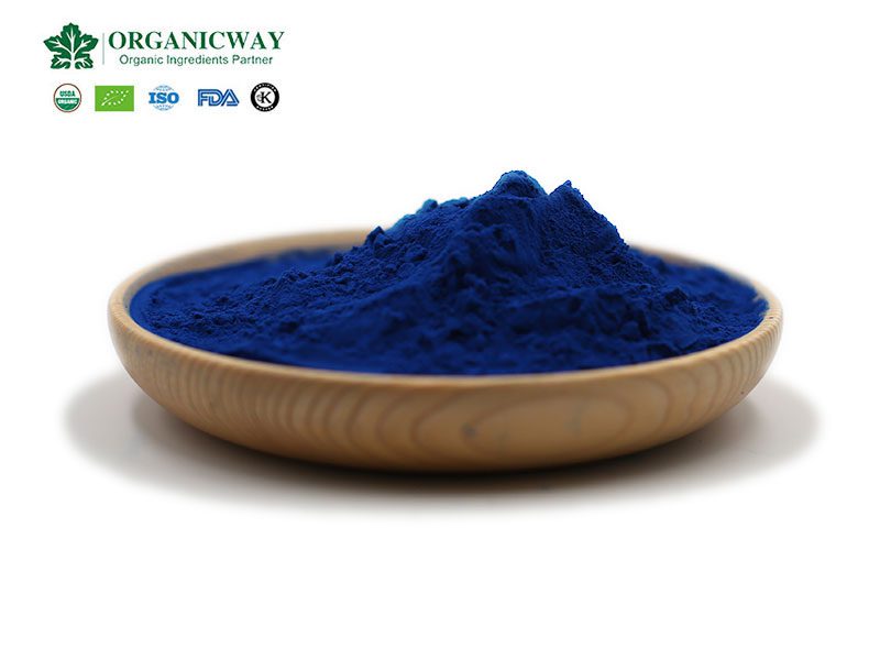 Phycocyanin Powder