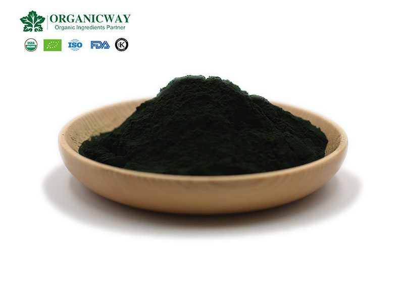 spirulina powder