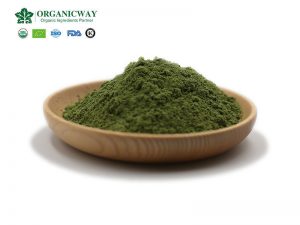¿Cuáles son los beneficios para la salud del polvo de pasto de trigo?