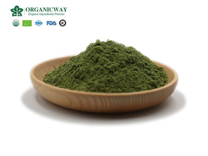 Wheatgrass Powder