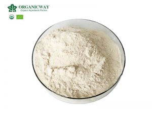 Los datos nutricionales de la proteína de soja orgánica en polvo