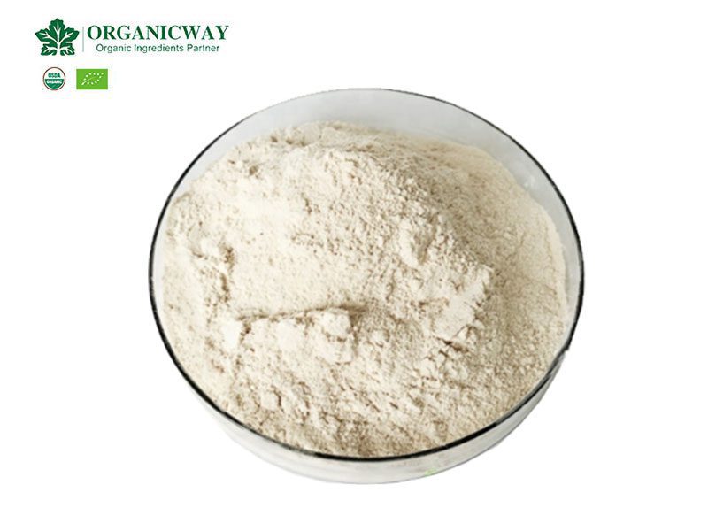 organic soy protein nutrition facts