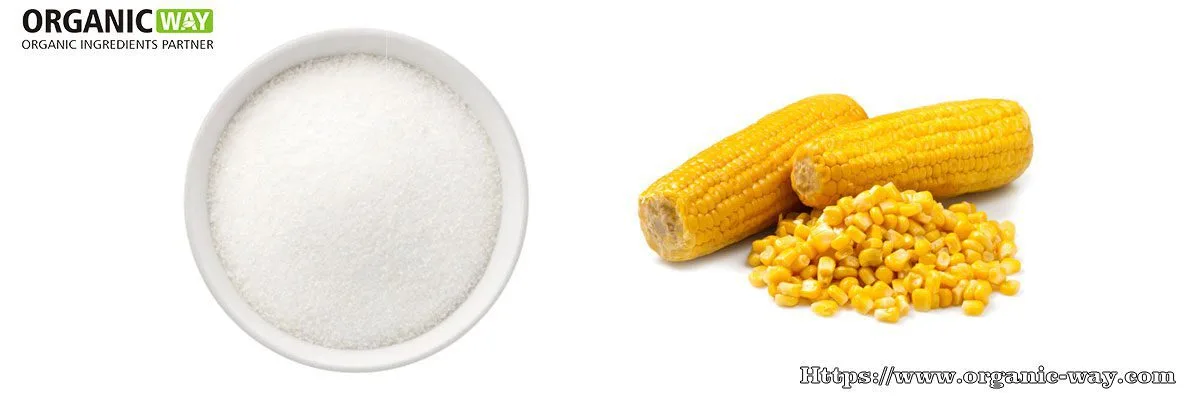 Organic Resistant Dextrin organic Resistant Dextrin