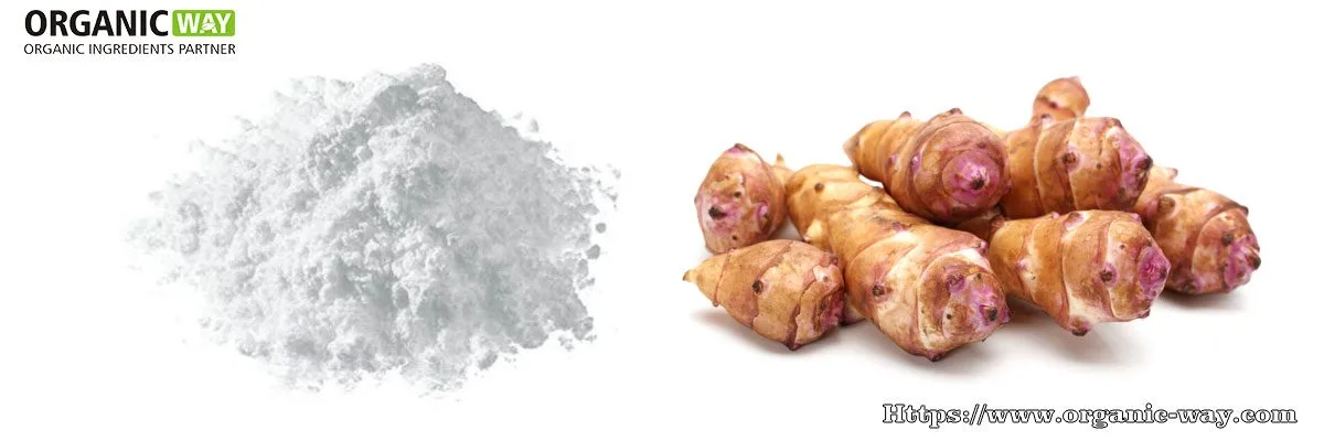 Fructooligosaccharides Organic-Fructooligosaccharide-Powder