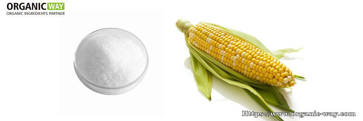 organic trehalose powder
