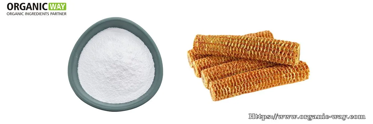 Organic Xylooligosaccharides Organic Xylooligosaccharides Powder