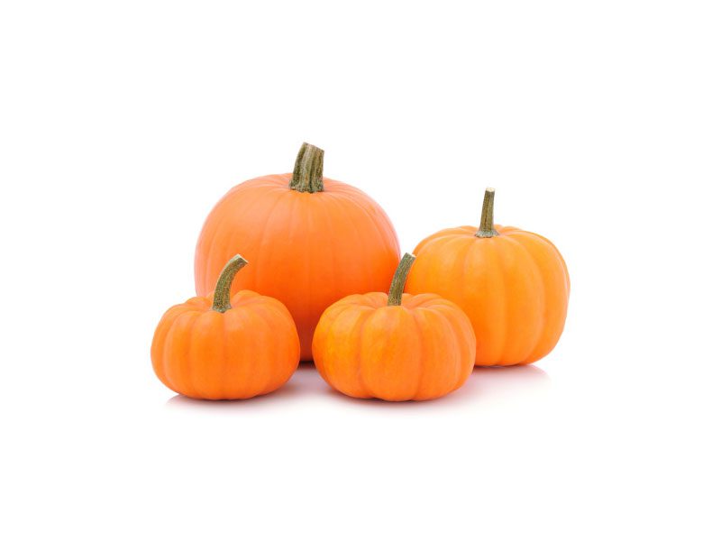 Calabaza