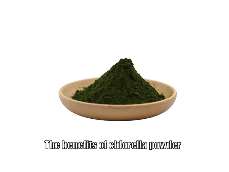 Los beneficios del polvo de Chlorella