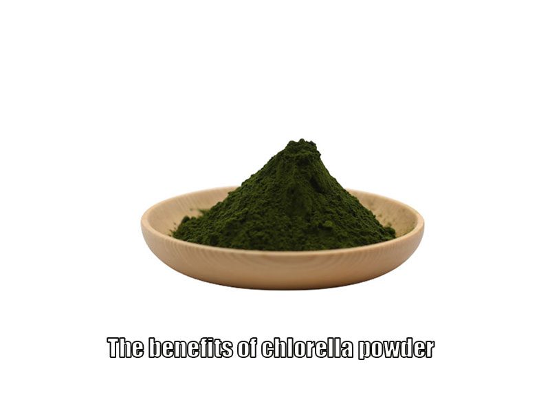 Los Beneficios Del Polvo De Chlorella