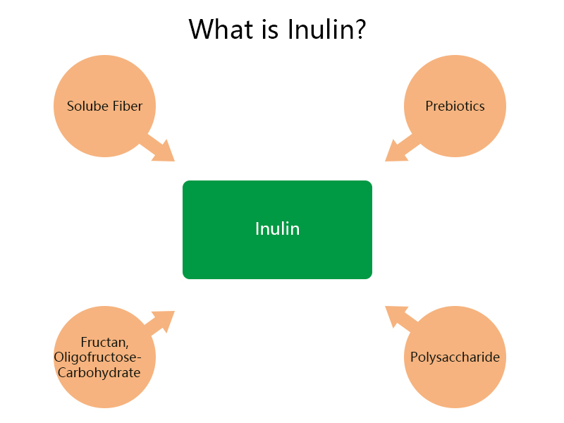 ¿Qué Es La Inulina?