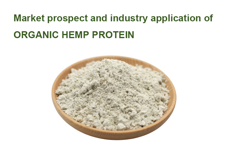 Market Prospect And Industry Application Of Organic Hemp Protein