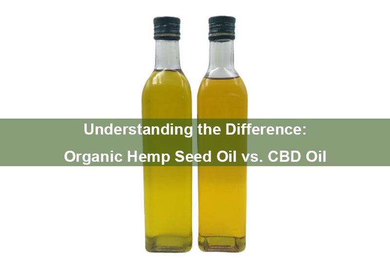 Understanding the Difference: Organic Hemp Seed Oil vs. CBD Oil