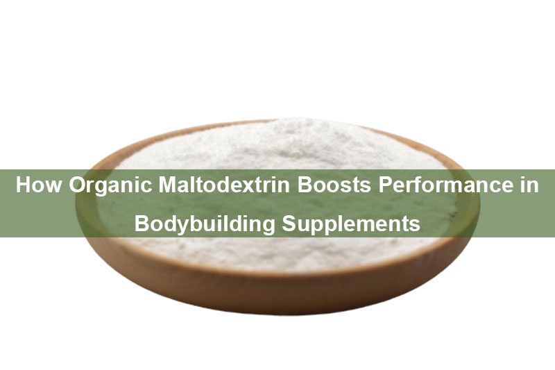 How Organic Maltodextrin Boosts Performance in Bodybuilding Supplements