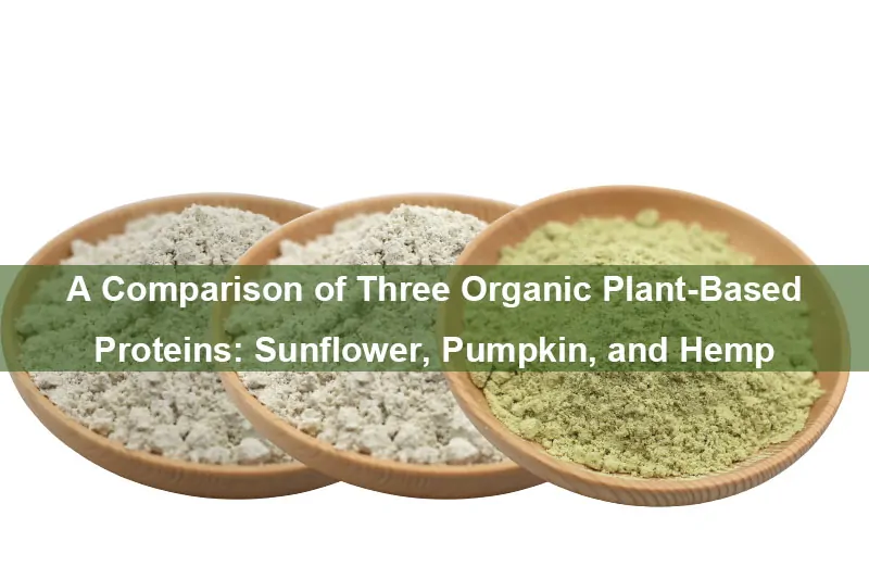 A Comparison Of Three Organic Plant-Based Proteins: Sunflower, Pumpkin, And Hemp