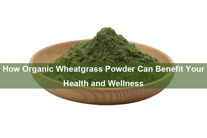 How Organic Wheatgrass Powder Can Benefit Your Health And Wellness