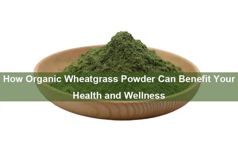 How Organic Wheatgrass Powder Can Benefit Your Health And Wellness