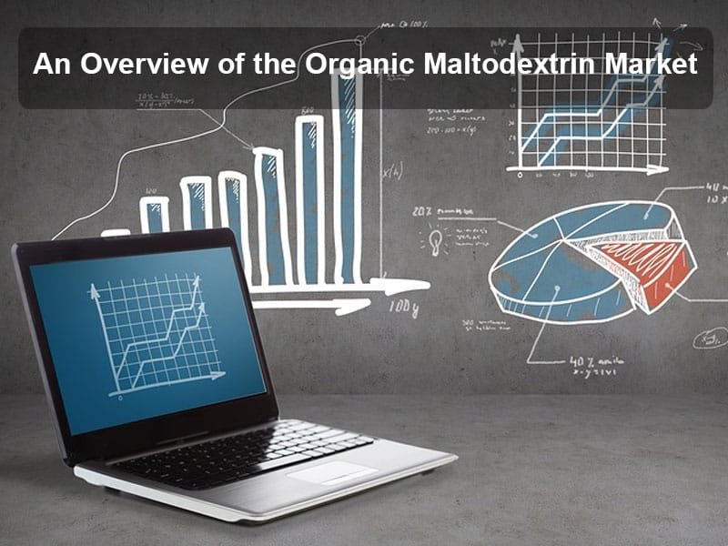 Un Aperçu Du Marché De La Maltodextrine Biologique : Taille, Segments, Tendances Et Moteurs