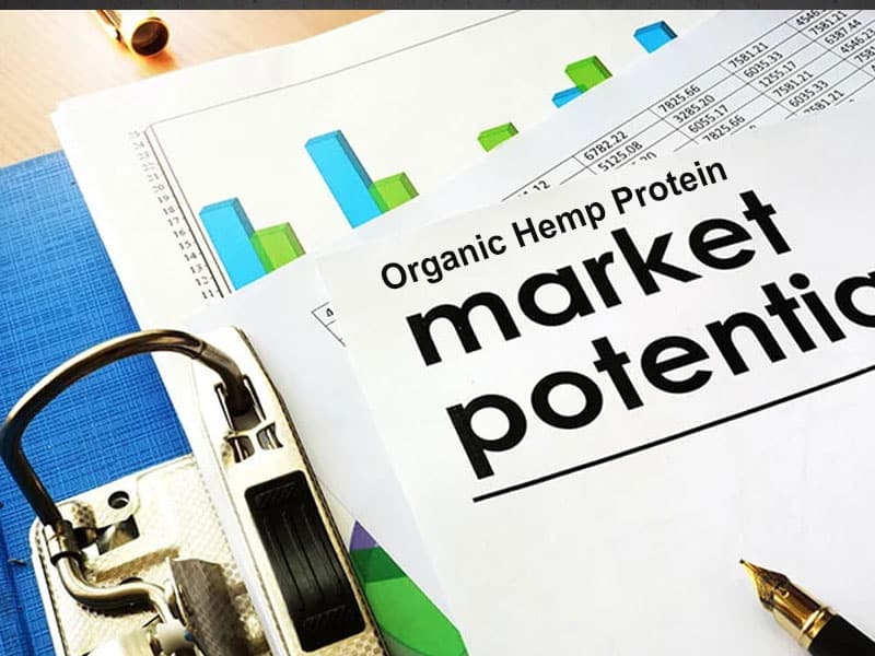 Organic Hemp Protein: A Plant-Based Superfood With Huge Market Potential