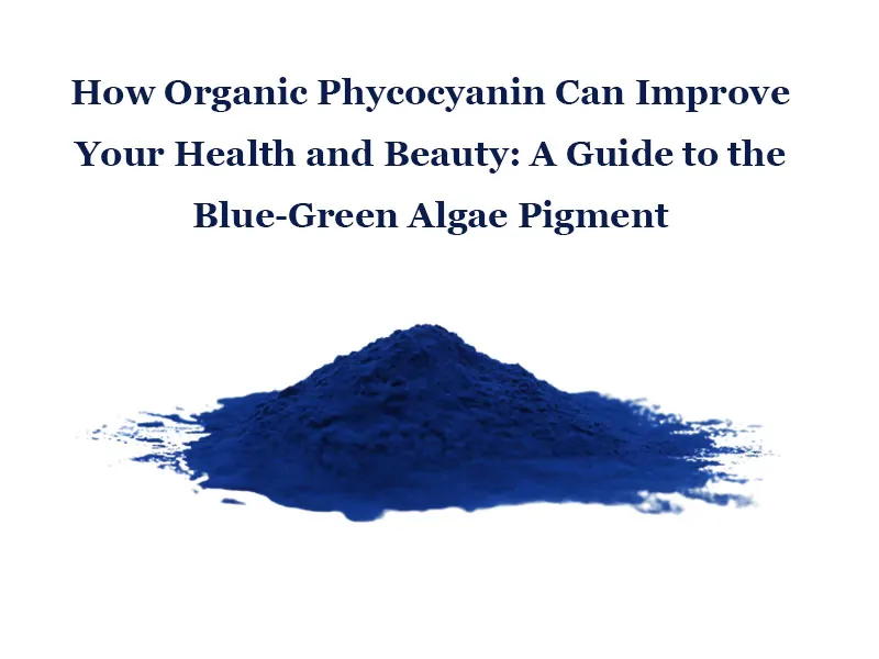 Comment La Phycocyanine Organique Peut Améliorer Votre Santé Et Votre Beauté : Un Guide Sur Le Pigment D'Algue Bleu-Vert