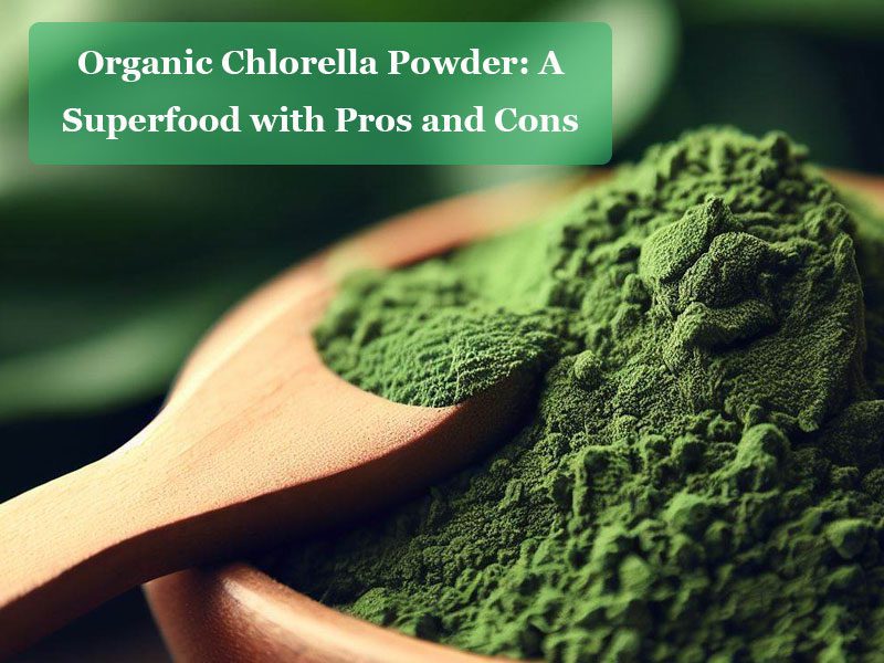 Organic Chlorella Powder: Pros and Cons