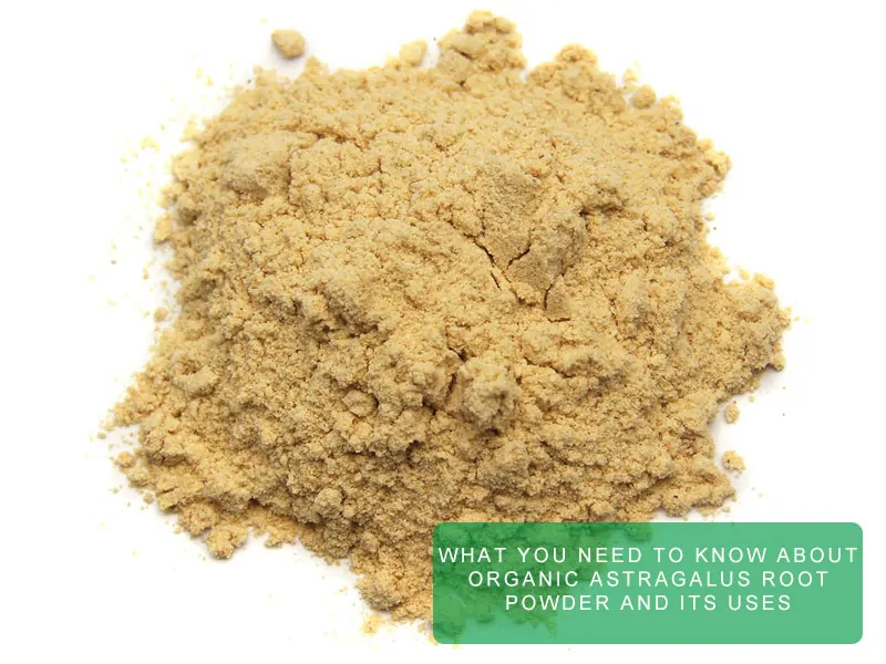 What You Need To Know About Organic Astragalus Root Powder And Its Uses