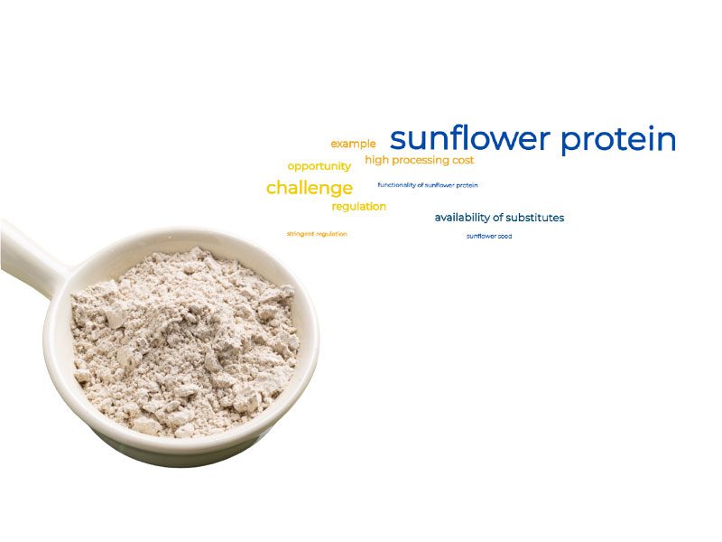 Tendencias competitivas de la proteína de girasol orgánica
