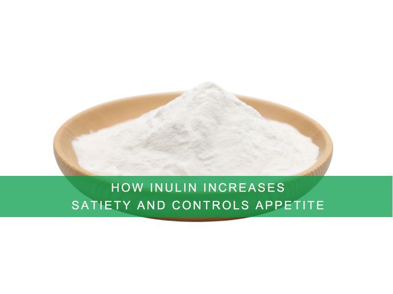 How Inulin Increases Satiety and Controls Appetite