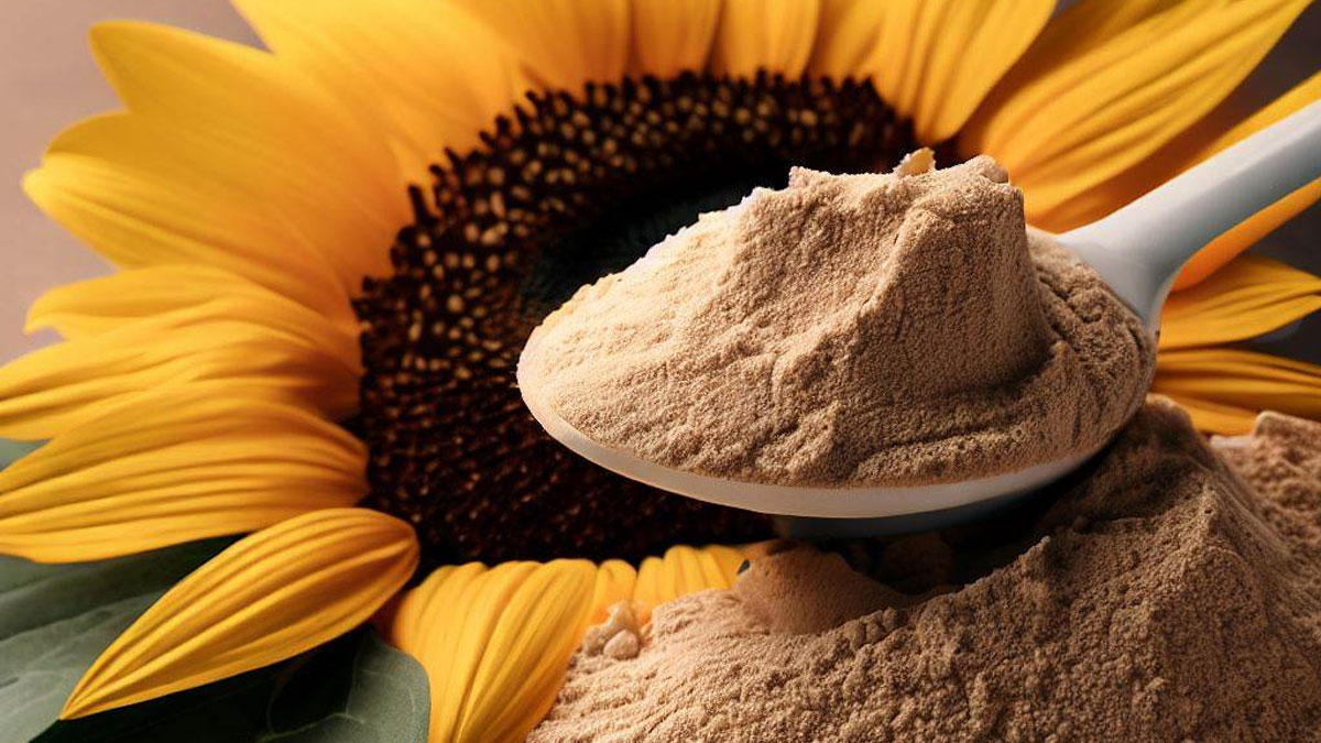 The Health Benefits Of Organic Sunflower Protein