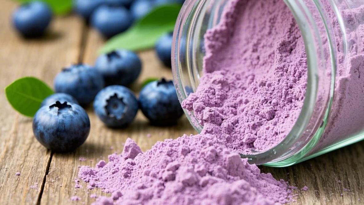 organic blue berry juice powder