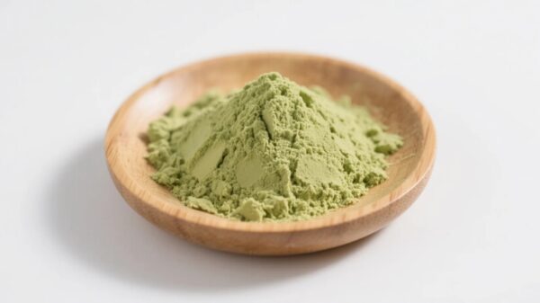 organic avocado powder