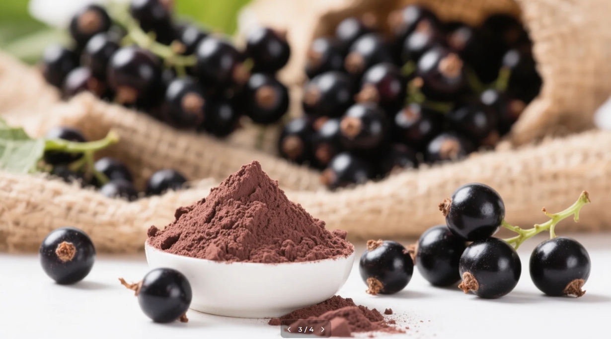 How to Take Organic Black Currant Powder: Expert Tips for Maximum Benefits
