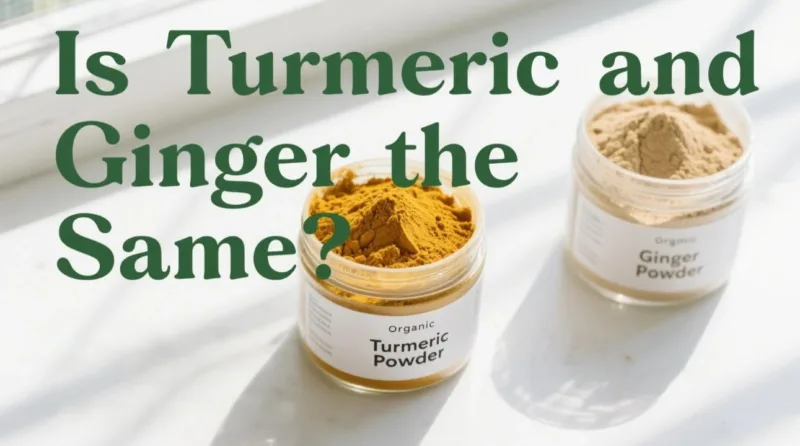 Is Turmeric and Ginger the Same? Organic Turmeric Powder vs. Ginger Powder Decoded is turmeric and ginger the same