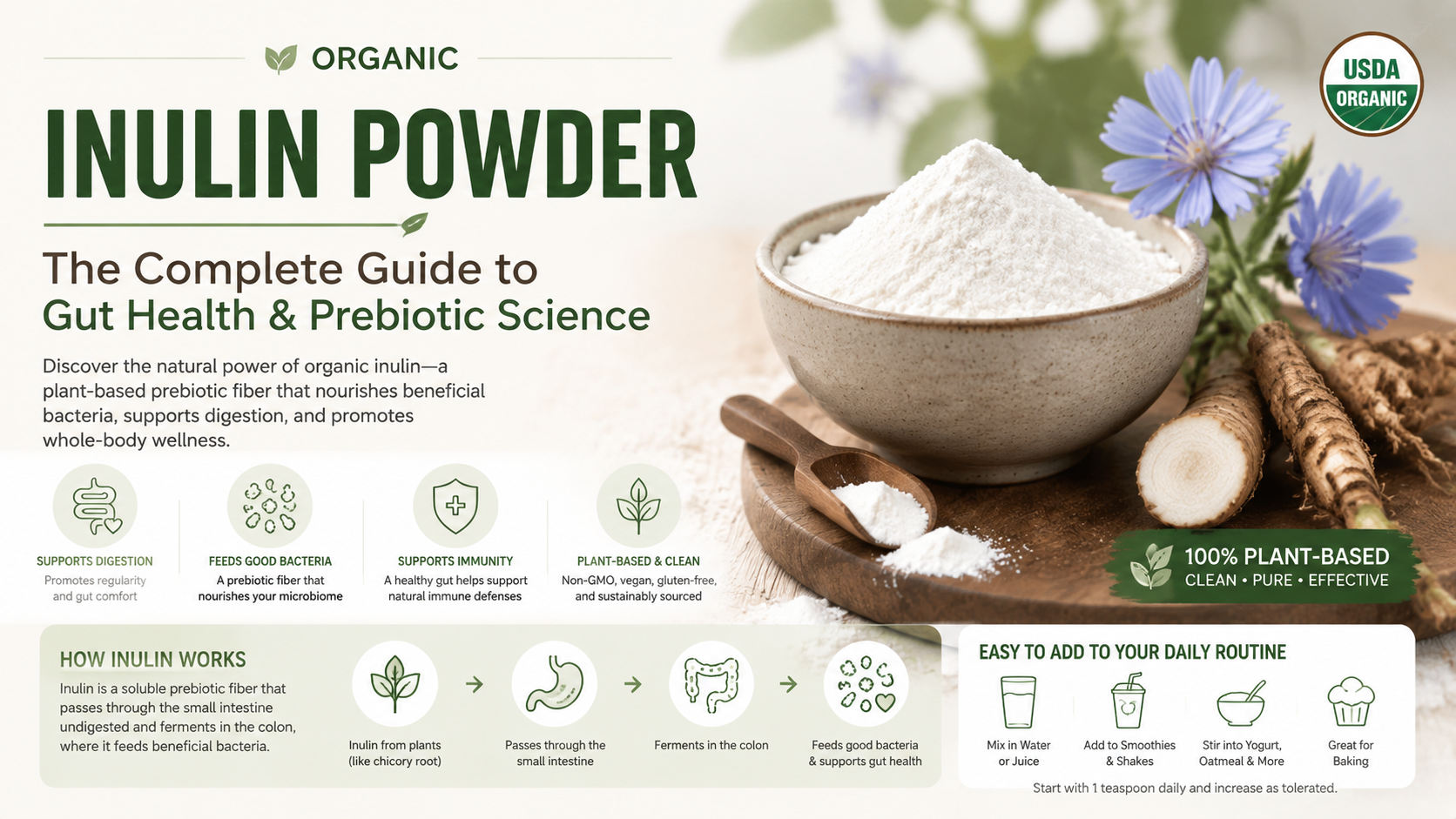 Organic Inulin Powder The Complete Guide To Gut Health &Amp; Prebiotic Science Organic Inulin Powder The Complete Guide To Gut Health &Amp; Prebiotic Science