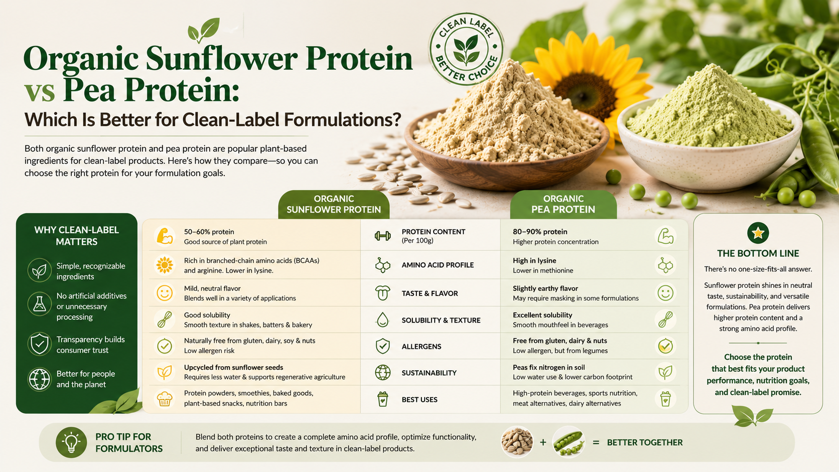 Organic Sunflower Protein Powder Vs Pea Protein: Which Is Better For Clean-Label Formulations? Organic Sunflower Protein Powder Vs Pea Protein Which Is Better For Clean-Label Formulations
