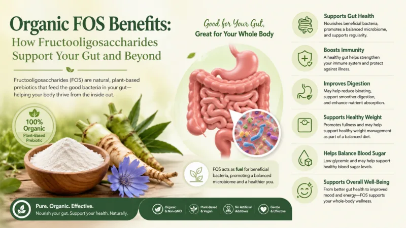 Organic Fos Benefits: How Fructooligosaccharides Support Your Gut And Beyond Organic Fos Benefits: How Fructooligosaccharides Support Your Gut And Beyond
