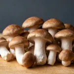 Agaricus Blazei Murill Extract Powder: A Buyer’s Guide to Benefits, Specs & Formulation