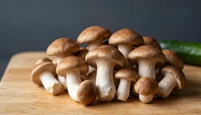 Agaricus Blazei Murill Extract Powder: A Buyer'S Guide To Benefits, Specs &Amp;Amp; Formulation
