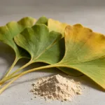 Ginkgo Biloba Extract Powder: A Buyer’s Guide to Benefits, Specs & Formulation