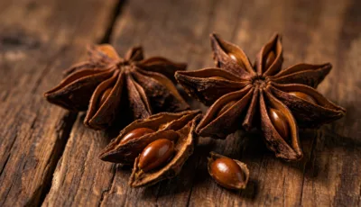 Star Anise: A Buyer'S Guide To Benefits, Specs &Amp;Amp; Formulation