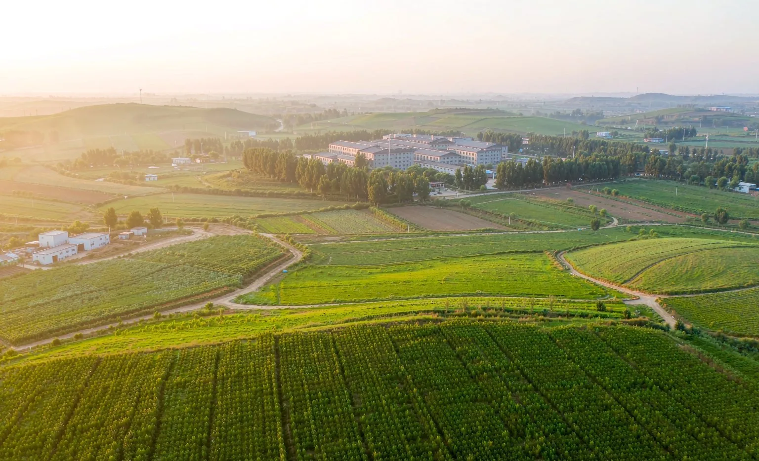 About Us Aerial View Of Organic Farmland And Organicway Processing Facility