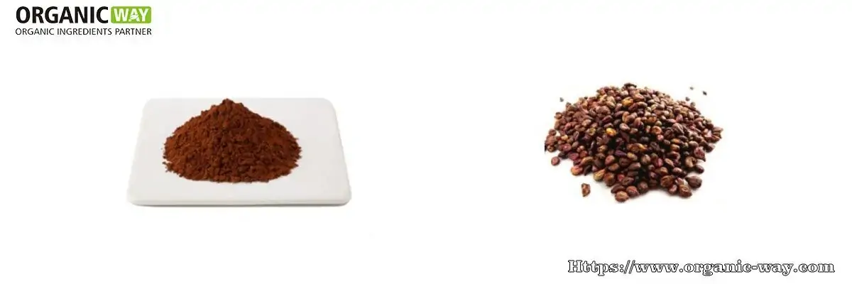 Organic Grapeseed Extract Powder organic grapeseed extract powder