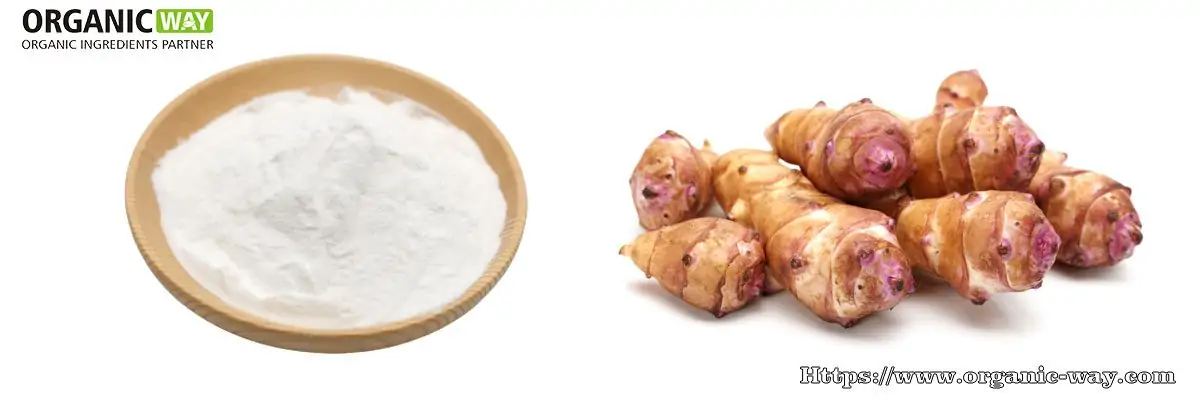 Organic Inulin Powder organic-inulin